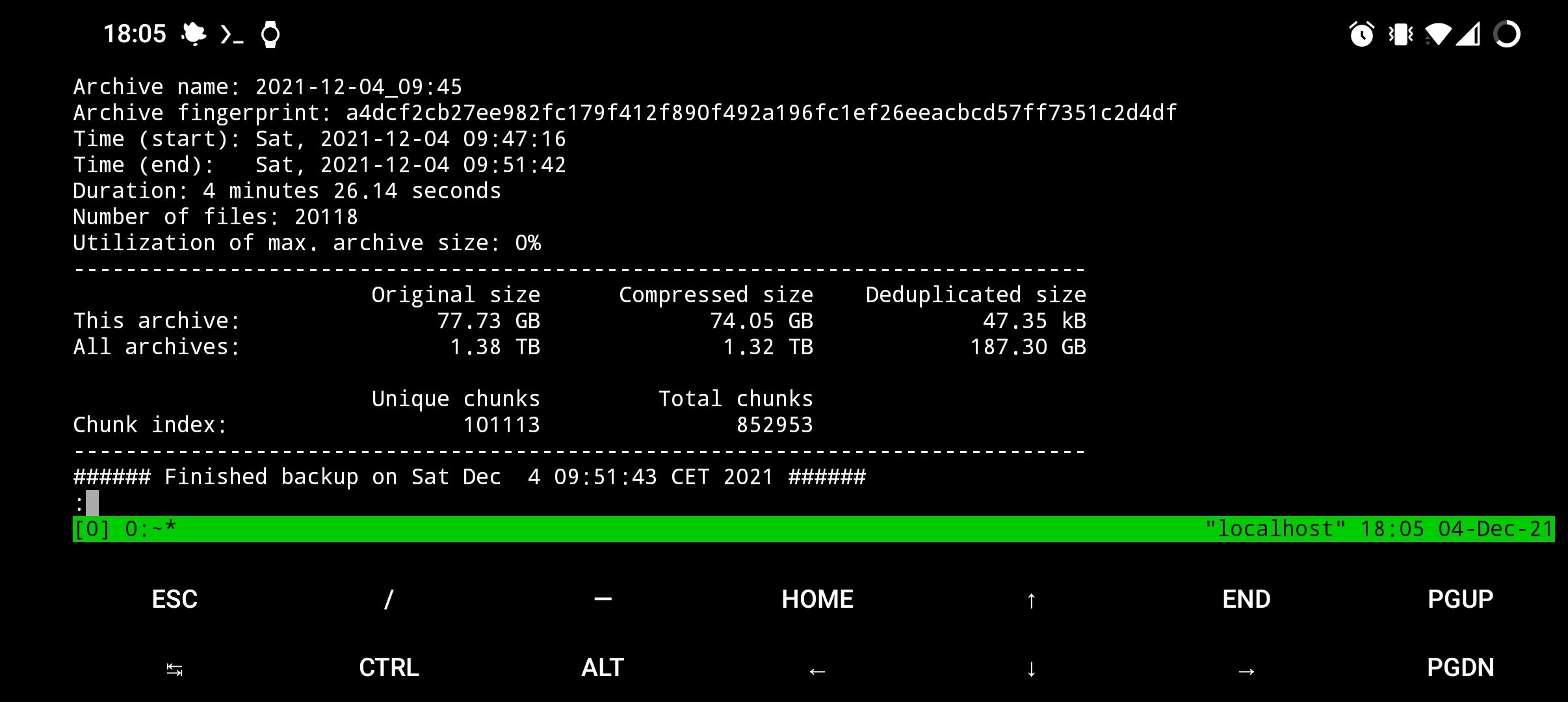 Screenshot des Borgbackup Logfiles